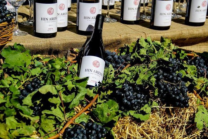 1-Day tour to Aragatsotn Wine region and Wine Route. - Stop 2: Van Ardi Winery and a Second Tasting Rhythm