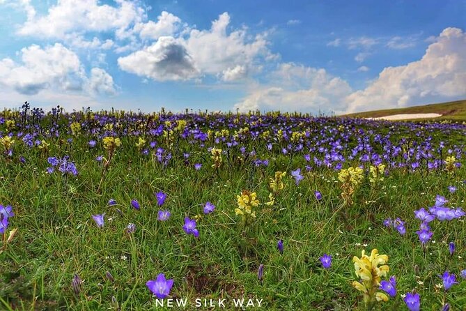 Amberd, Kari Lake and Byurakan Observatory Private Full-Day Tour - Logistics and Timing You Should Plan Around