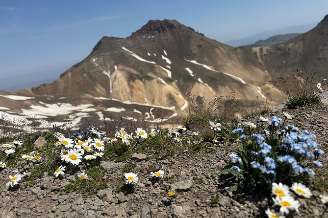 Aragats Mountain Hiking Tour - Key highlights to know before you go