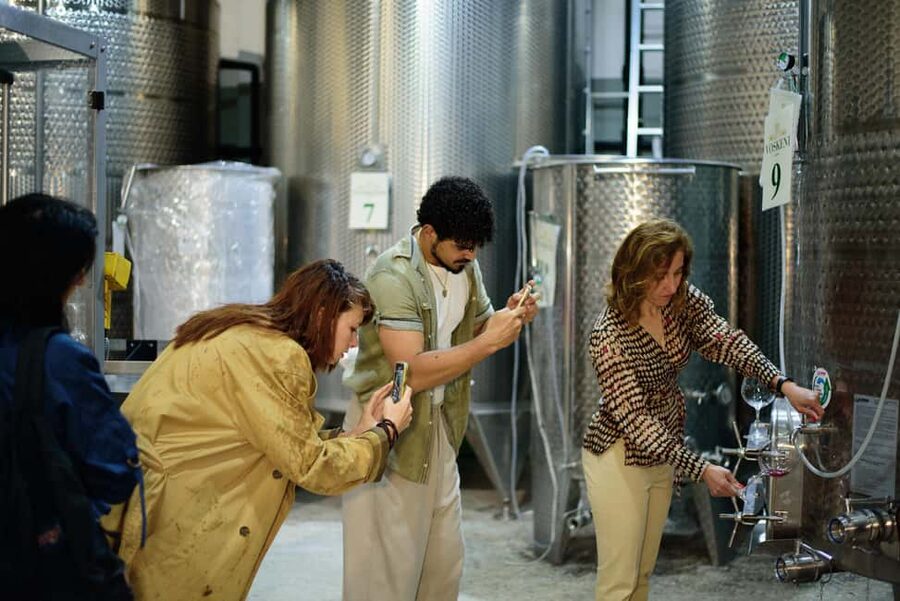 Armenia: Wine Tasting and Vineyard Lunch at Voskeni Winery - A simple Armenia wine day near Armavir that feels personal