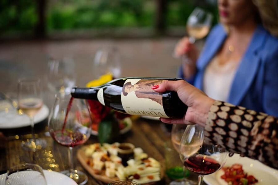 Armenia: Wine Tasting and Vineyard Lunch at Voskeni Winery - Meeting Voskeni Winery: how to show up ready to enjoy