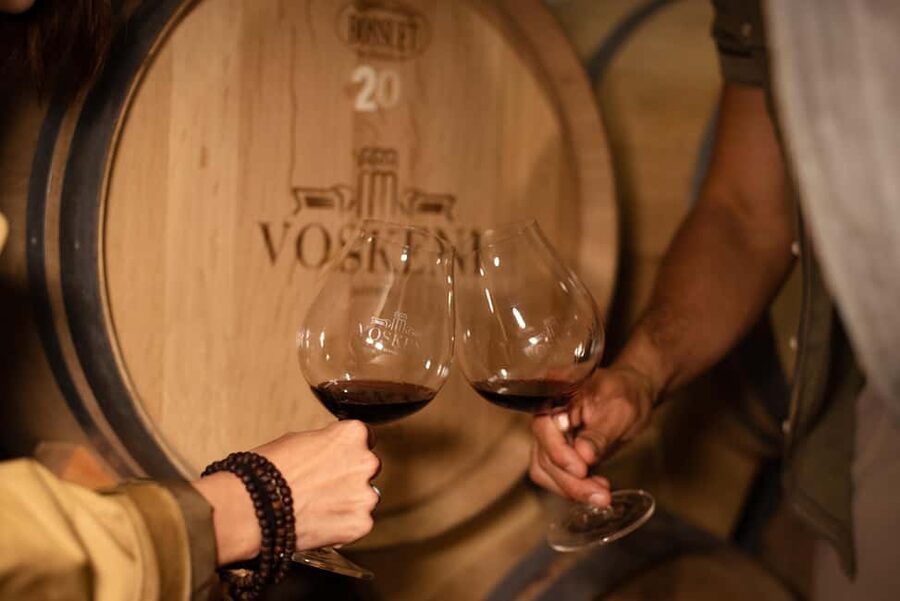 Armenia: Wine Tasting and Vineyard Lunch at Voskeni Winery - The Mt. Ararat viewpoint is not just scenery