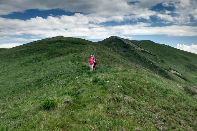 Daily jeep - hike tour to Ara Mountain - Key highlights worth planning around