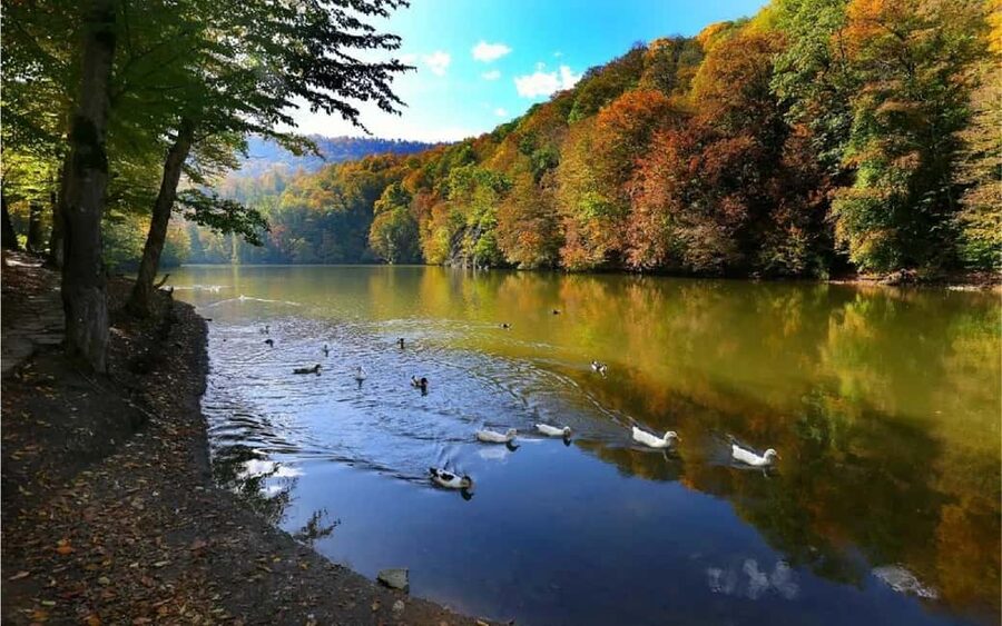 From Yerevan: Off-Road and Horseback Riding Adventure Tour - Price and value: what $247 covers, and what it does not