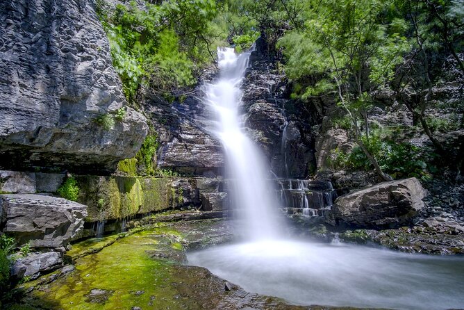 Full Day Private Tour to Khosrov Forest State Reserve - Key highlights you should not skip