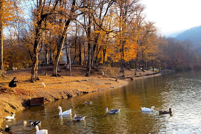 Group Tour: Dilijan, Parz Lake, Makaravank, wine factory - Who This Tour Fits Best (and Who Should Skip It)