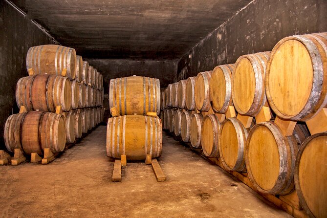Group Tour: Hin Areni Winery, Tatev (wayback on Ropeway), Khndzoresk Caves - Wings of Tatev ropeway: the 11-minute ride that changes your perspective