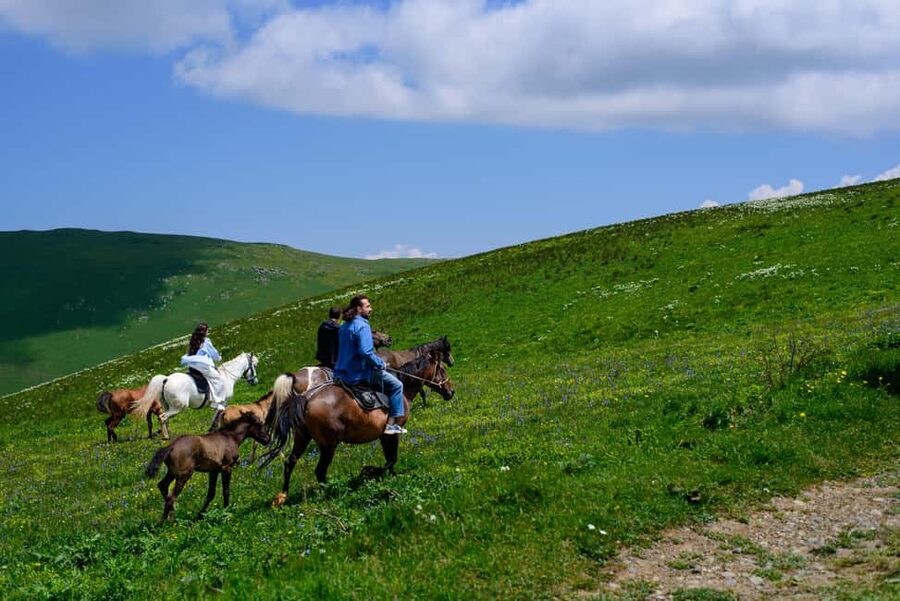 Horseback Adventure in Armenia’s Highland Pastures - The summit stop: 30 minutes that make the whole tour