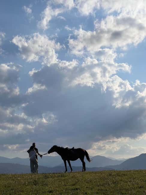 Horseback riding in Dilijan - Meeting your horses and getting trained: quick confidence in the saddle