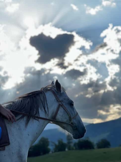 Horseback riding in Dilijan - From Dilijan Horseriding club to the mountain climb: the off-road transfer reality check