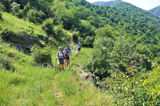 Lori Canyon Vacations - Day 2 Morning Hike in the Debed Valley: Horomayr, Caves, and Birds