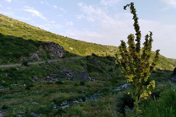 Mount Aragats, Amberd Fortress, Saghmosavank Monastery, Alphabet - private tour - Key Highlights That Make This Tour Work