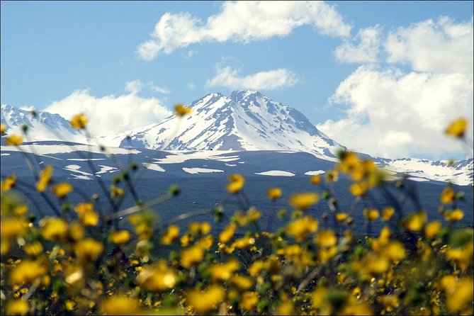 Private tour to Aragats-Lake Kari - Armenian Alphabet Monument - Amberd fortress - Mount Aragats and Lake Kari, the Highest-Point Payoff