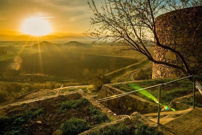 Private tour to Khor Virap,Areni winery,Noravank,Tatev Monastery - Areni Wine Factory: Tasting, Factory Visit, and the Old Shoe Cave