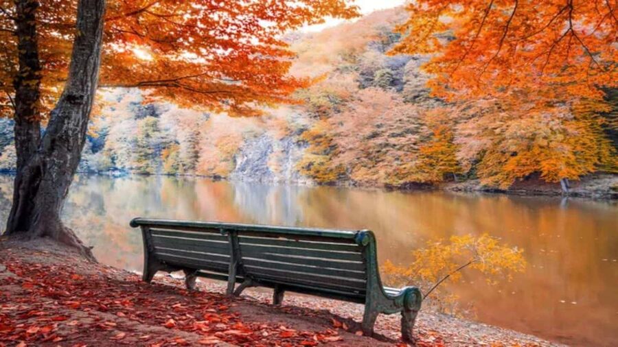 Private Trip: Sevan, Dilijan, Parz Lake,Haghartsin,Goshavank - Parz Lake in Dilijan National Park: Calm Time on Purpose