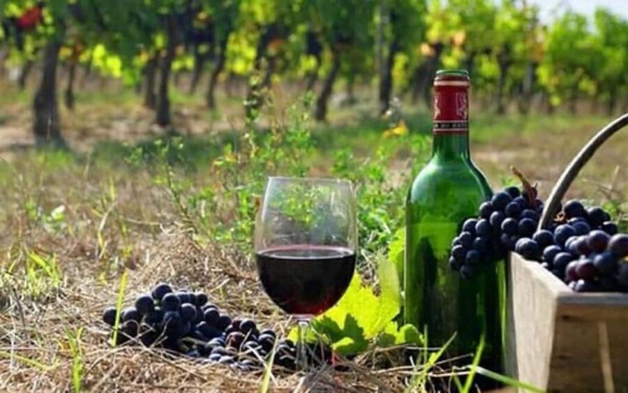 Private Trip: Tatev Ropeway-Shaki Waterfall-Wine Degustation - Key Highlights You’ll Actually Feel