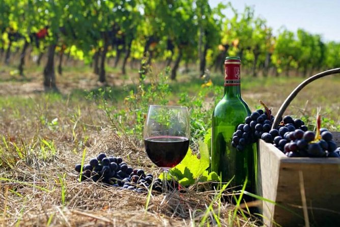Private wine tour to Khor Virap, Areni winery, Noravank - Key Points You’ll Care About