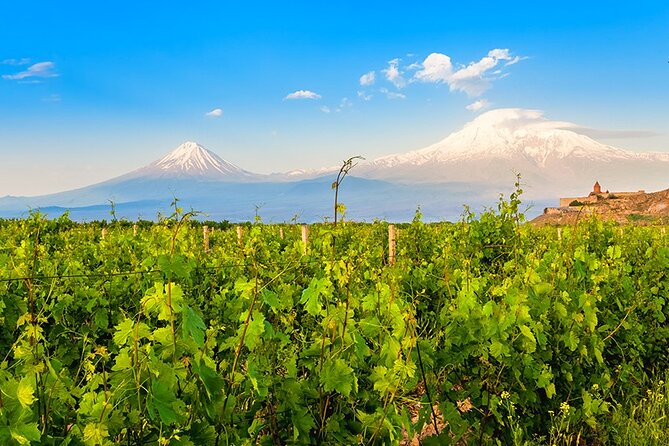 Tatev & Shaki Waterfall Guided Group Tour with Wine Tasting - Guides Matter on a 14 Hour Day, and It Shows