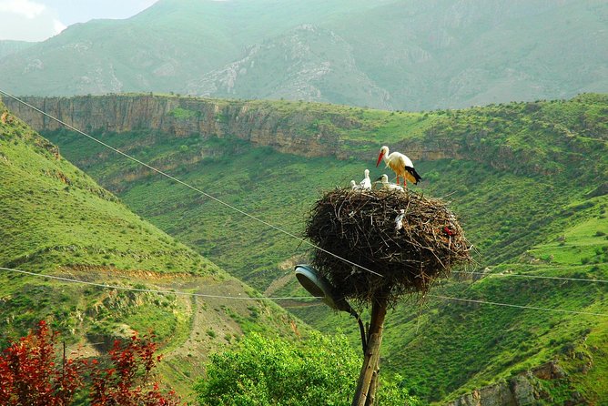 The Great Beauty of Armenia: 7-Day Culture and Cuisine Tour - Day 4: swinging bridge caves, Tatev by cable car, and the “Armenian Stonehenge”