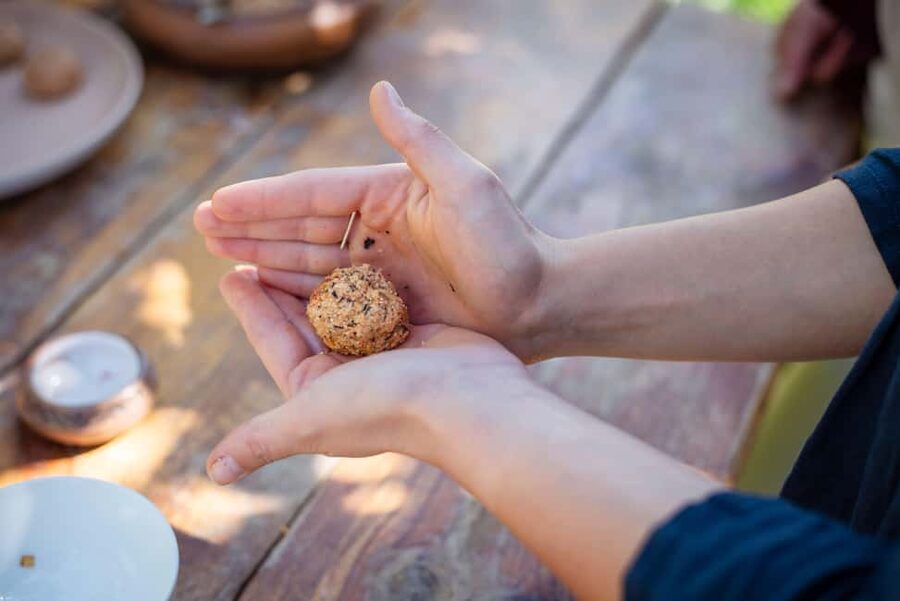 Traditional Vegetarian Food Masterclass - Key highlights you should care about