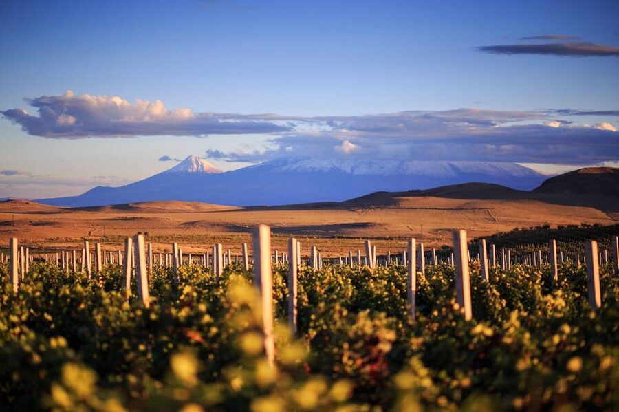 Yerevan: Khor Virap Day Trip with Mount Ararat Wine Tasting - Why Khor Virap and wine tasting work so well together