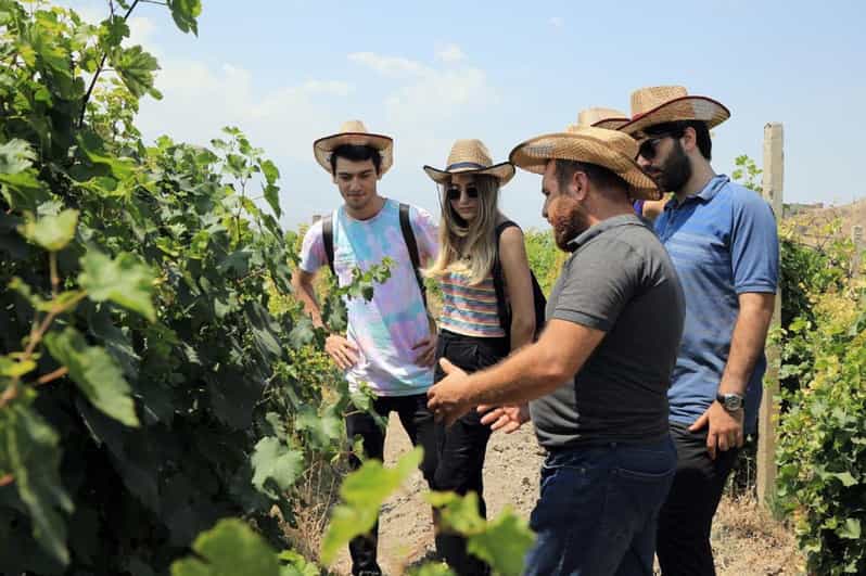 Yerevan: Khor Virap Day Trip with Mount Ararat Wine Tasting - At Khor Virap: your terrace view and your guide’s narrative
