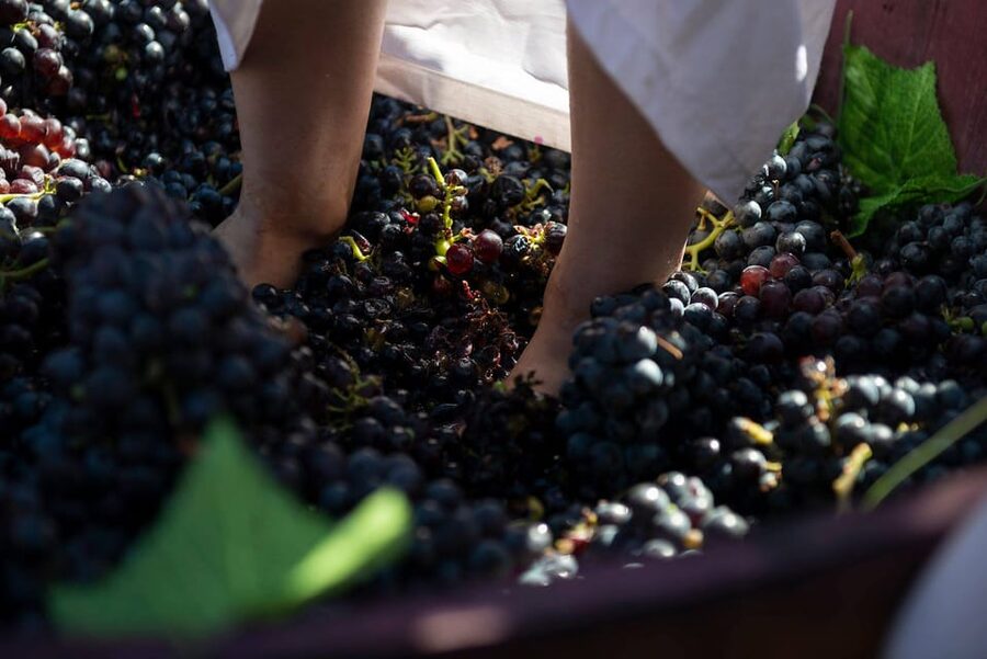 Yerevan: Khor Virap Day Trip with Mount Ararat Wine Tasting - The 5-hour private format: enough time, not too much